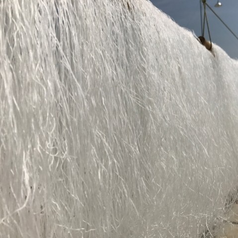 ผู้ผลิตวุ้นเส้น สัมพันธวงศ์